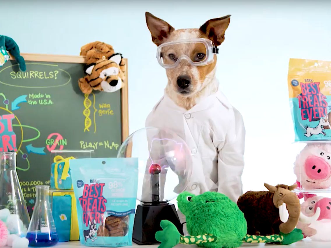 Best Toy Ever by BarkBox | Matchbox Design Group | St. Louis, MO Video Marketing Campaign for Bark Box
