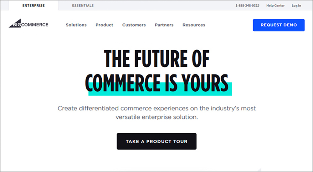 10 Best SaaS Ecommerce Website Builders for Online Business