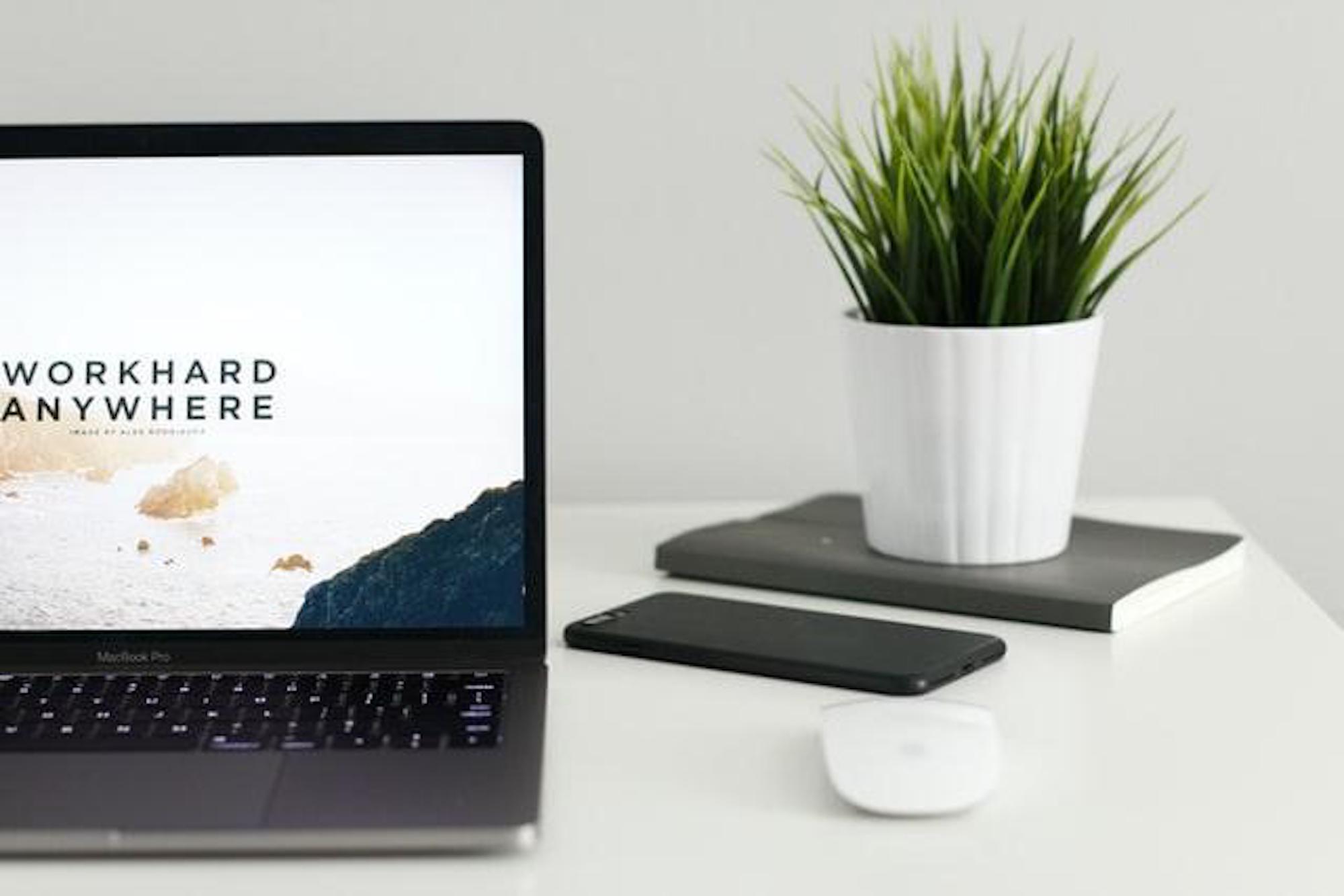 A message on a website across the entire screen, next to a potted plant and a notebook.