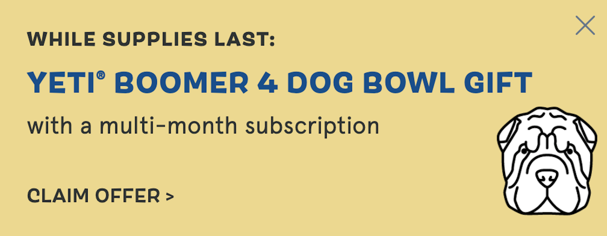 Create Promos Specifically For First-Time Buyers | BarkBox Promotion | Matchbox Design Group BarkBox promotion for first-time buyers.