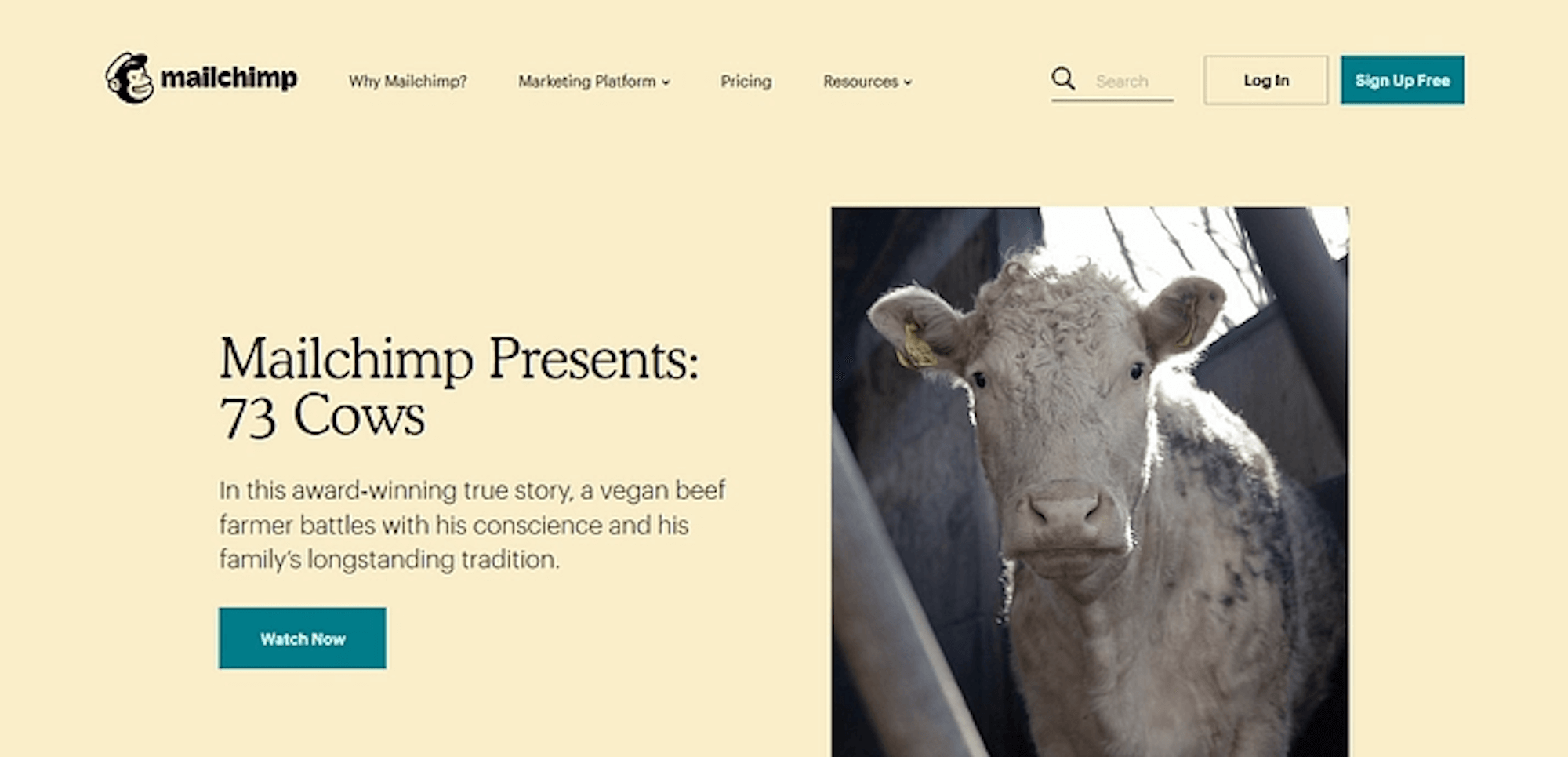 MailChimp | Matchbox Design Group | St. Louis, MO MailChimp email tool.