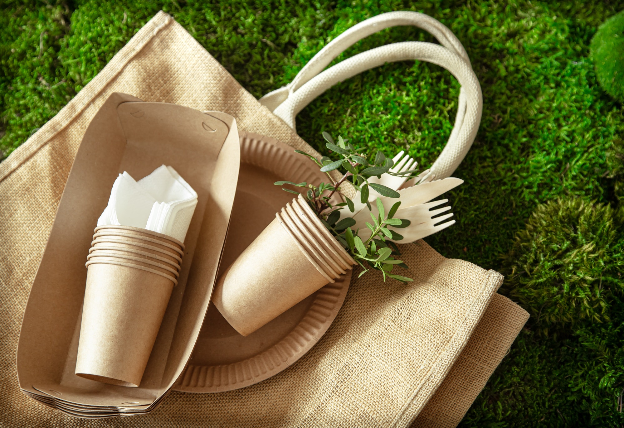 Eco-Friendly Current Trends in eCommerce