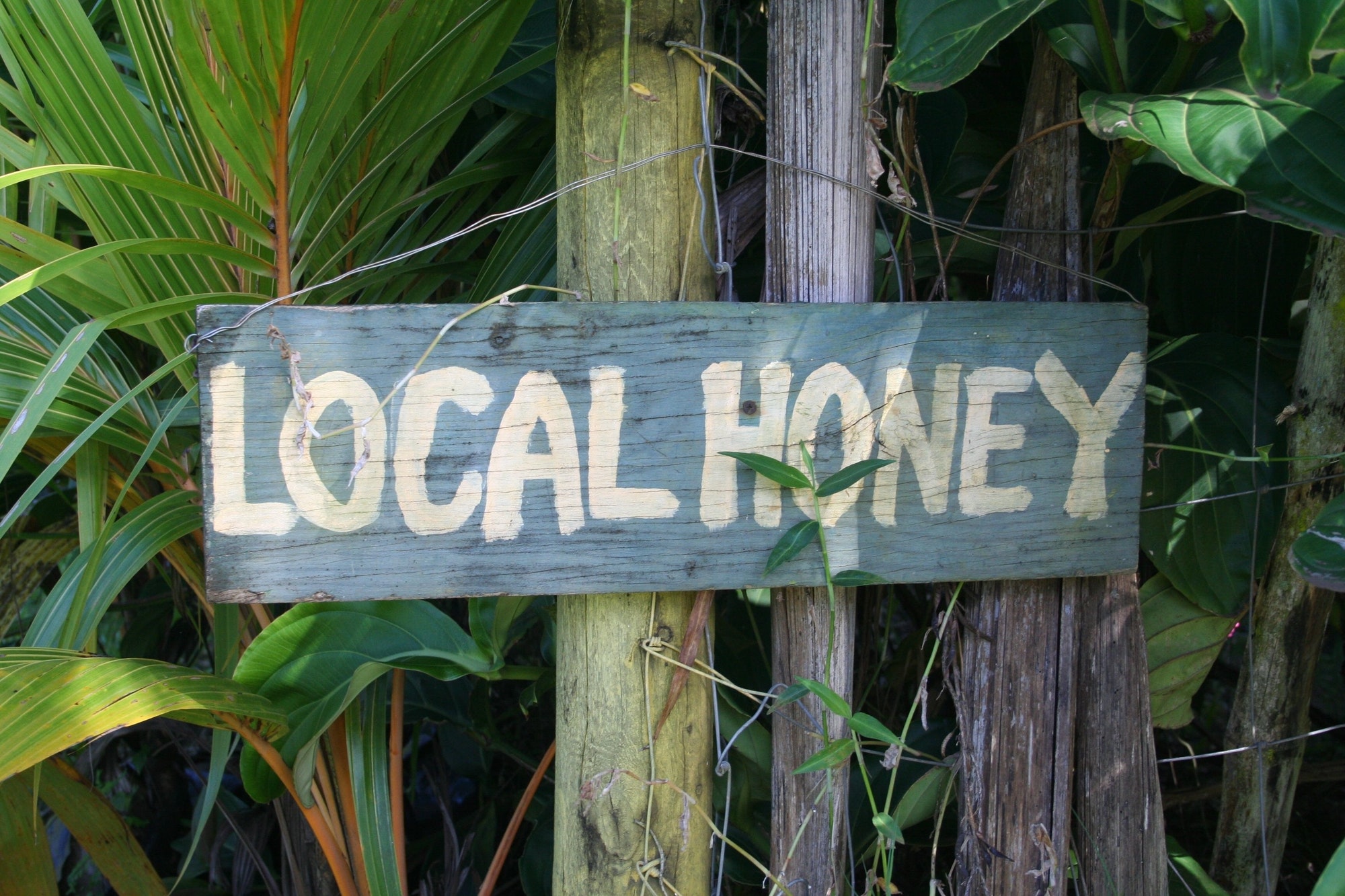 Top 5 Ways To Advertise Your Local Business
