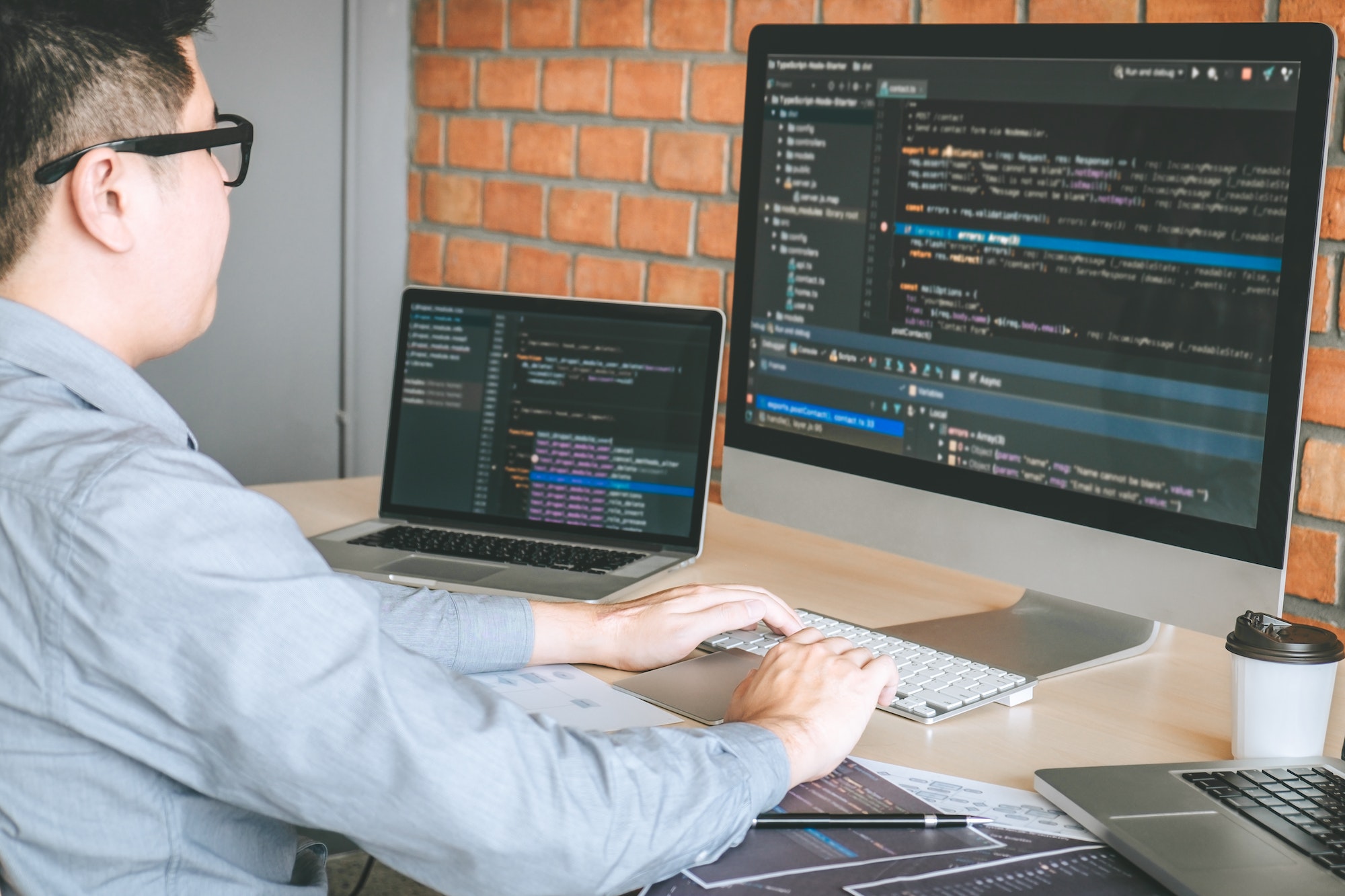 Professional Developer programmer Using Secure Coding Practices