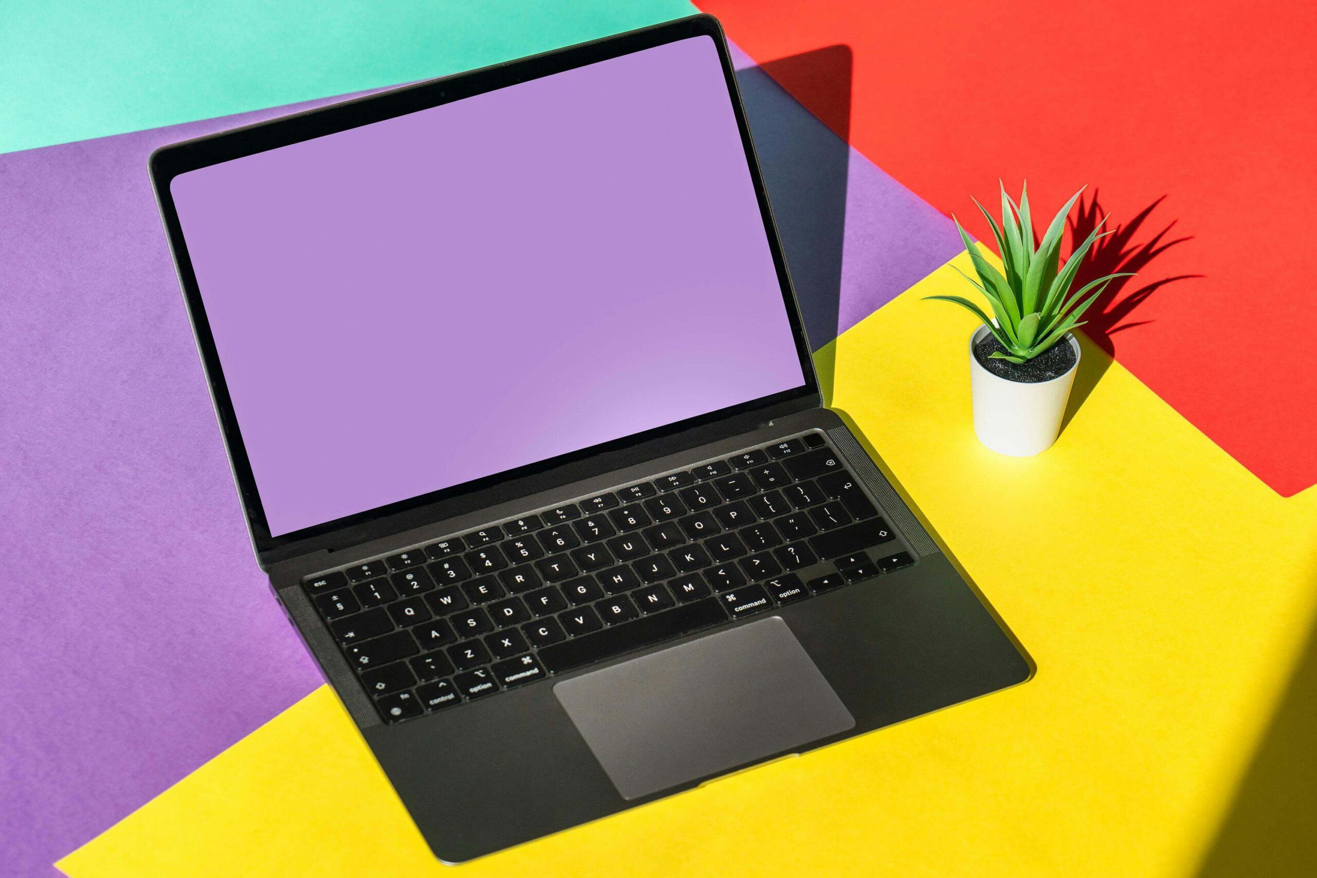 A Computer with a purple screen