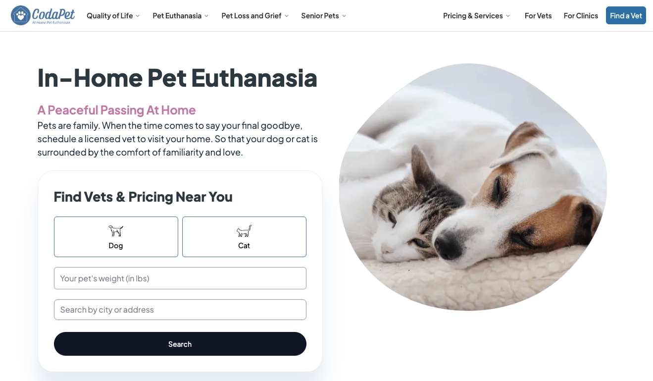 In-Home Pet Euthanasia. 7 Effective Microcopy Hacks for High-Converting CTAs